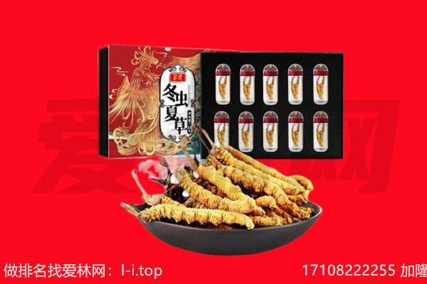 无锡江阴市回收虫草.jpg